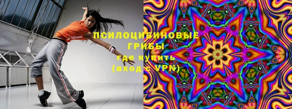 шишки Алексеевка