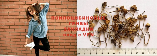 Альфа ПВП Алзамай