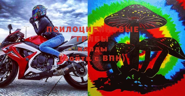 Альфа ПВП Алзамай