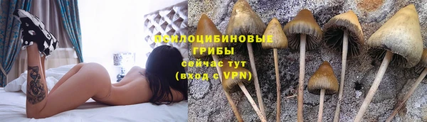 Альфа ПВП Алзамай