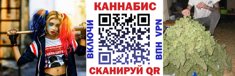 Канабис гибрид  Кохма 